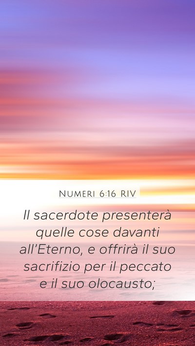 Numeri 6:16 RIV Bible Verse Image