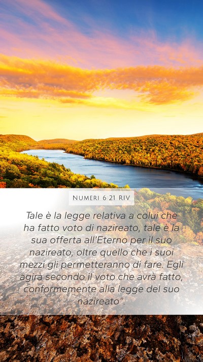 Numeri 6:21 RIV Bible Verse Image