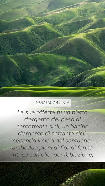 Numeri 7:43 RIV Mobile Phone Wallpaper - La sua offerta fu un piatto d’argento del peso - Mobile Bible Verse Wallpaper