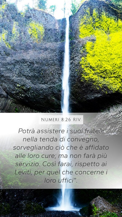 Numeri 8:26 RIV Mobile Phone Wallpaper - Potrà assistere i suoi fratelli nella tenda di - Mobile Bible Verse Wallpaper
