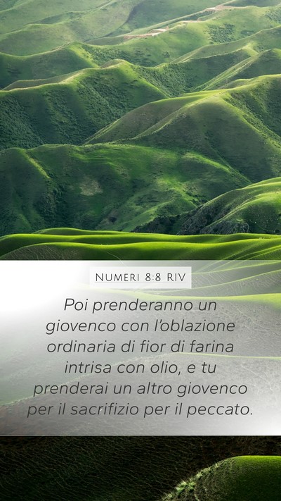 Numeri 8:8 RIV Mobile Phone Wallpaper - Poi prenderanno un giovenco con l’oblazione - Mobile Bible Verse Wallpaper