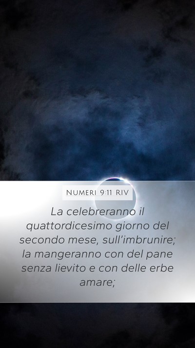 Numeri 9:11 RIV Bible Verse Image