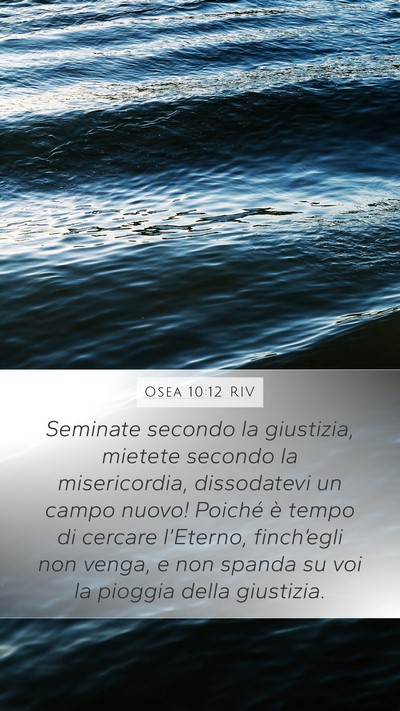 Osea 10:12 RIV Bible Verse Image