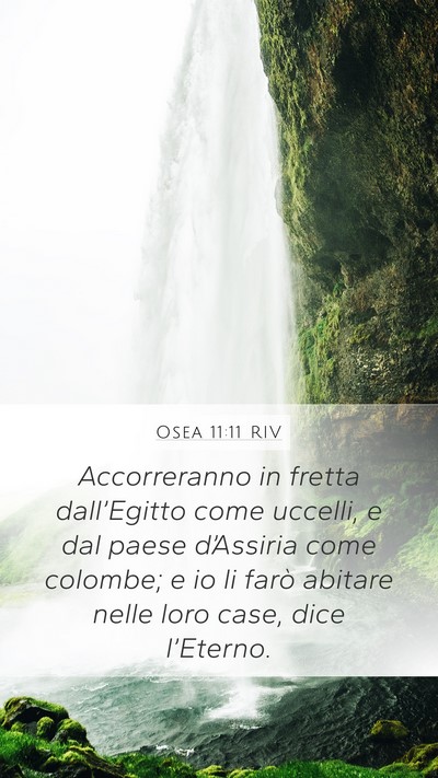 Osea 11:11 RIV Bible Verse Image