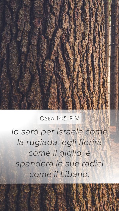 Osea 14:5 RIV Bible Verse Image