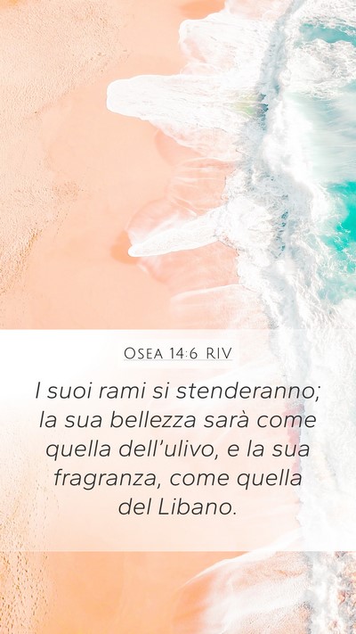 Osea 14:6 RIV Bible Verse Image
