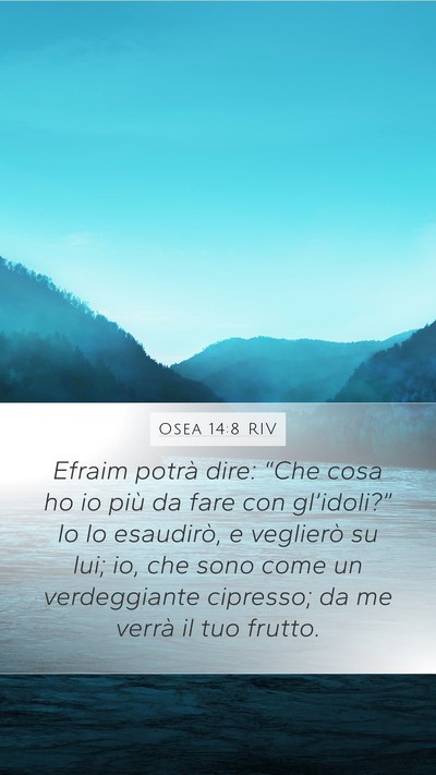Osea 14:8 RIV Bible Verse Image