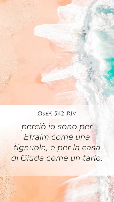 Osea 5:12 RIV Mobile Phone Wallpaper - perciò io sono per Efraim come una tignuola, e - Mobile Bible Verse Wallpaper
