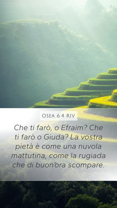 Osea 6:4 RIV Bible Verse Image