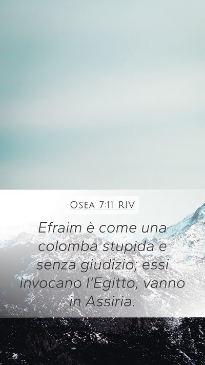 Osea 7:11 RIV Mobile Phone Wallpaper - Efraim è come una colomba stupida e senza - Mobile Bible Verse Wallpaper