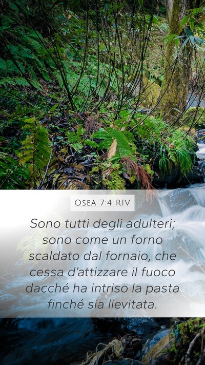 Osea 7:4 RIV Bible Verse Image