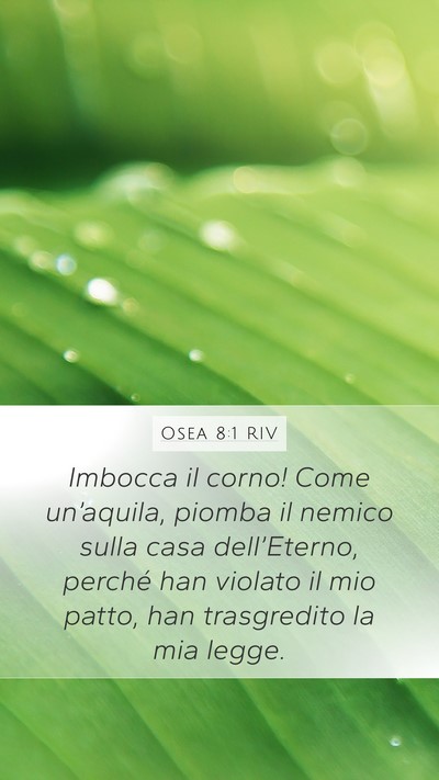 Osea 8:1 RIV Bible Verse Image