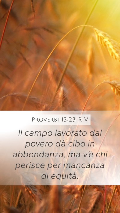 Proverbi 13:23 RIV Bible Verse Image