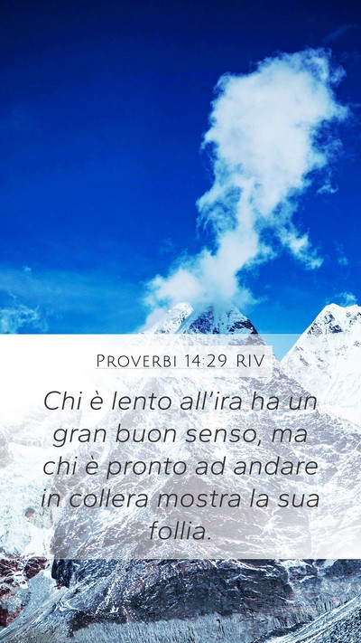 Proverbi 14:29 RIV Bible Verse Image