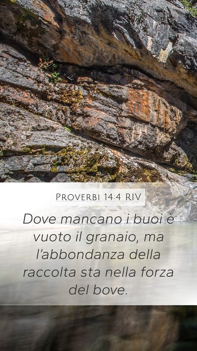 Proverbi 14:4 RIV Bible Verse Image