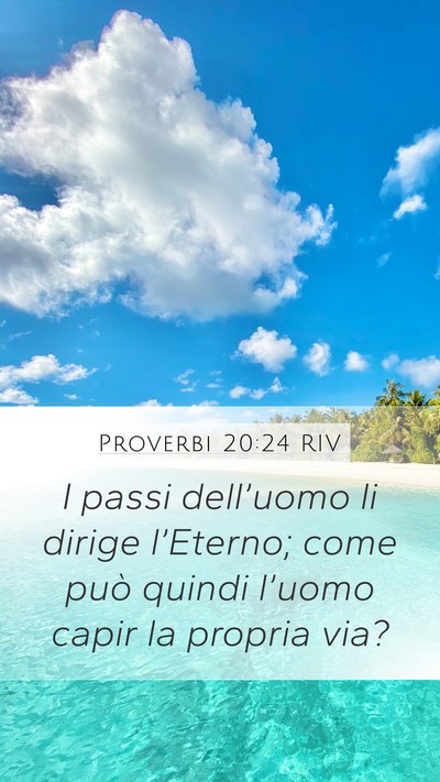Proverbi 20:24 RIV Bible Verse Image