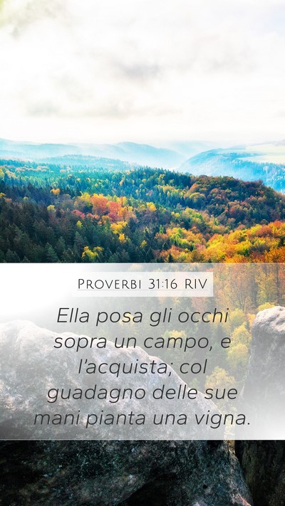 Proverbi 31:16 RIV Bible Verse Image