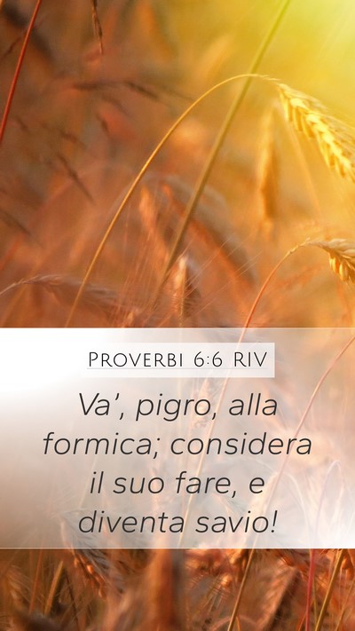 Proverbi 6:6 RIV Bible Verse Image