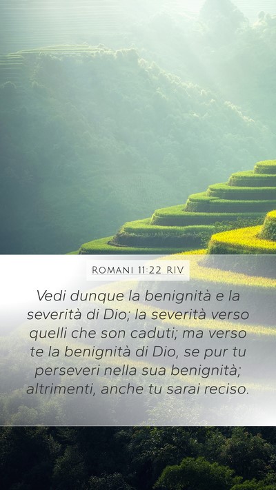 Romani 11:22 RIV Bible Verse Image