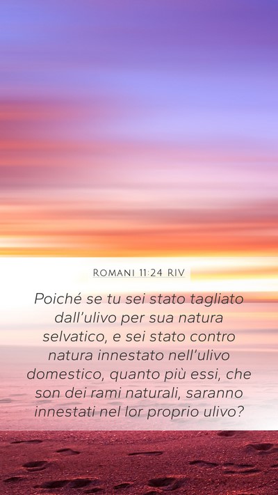 Romani 11:24 RIV Bible Verse Image