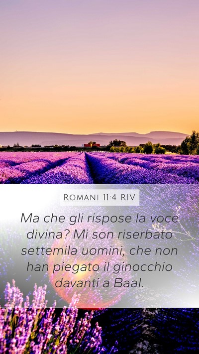Romani 11:4 RIV Bible Verse Image