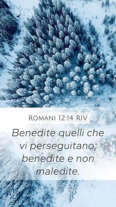 Romani 12:14 RIV Bible Verse Image