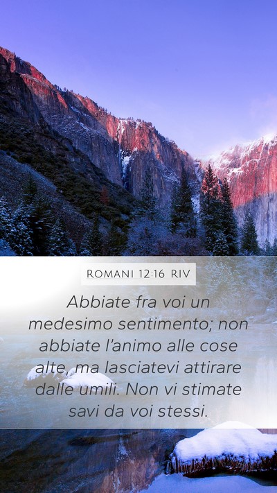 Romani 12:16 RIV Bible Verse Image