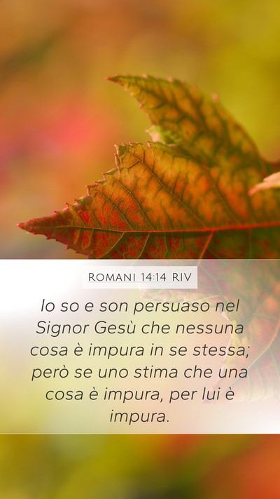 Romani 14:14 RIV Bible Verse Image