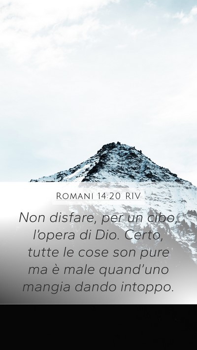 Romani 14:20 RIV Bible Verse Image