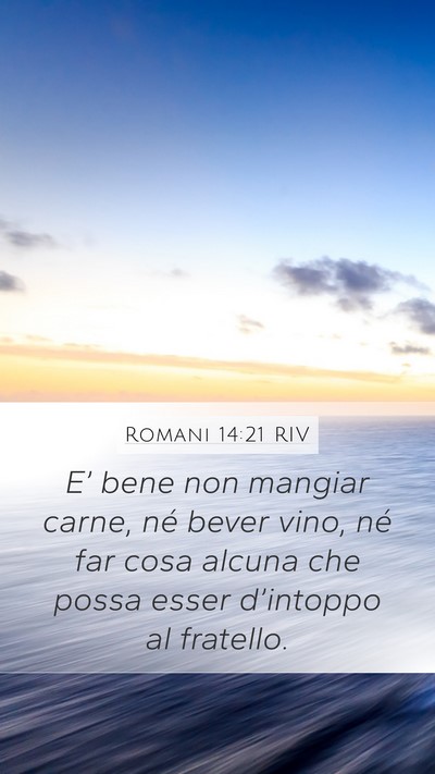 Romani 14:21 RIV Bible Verse Image