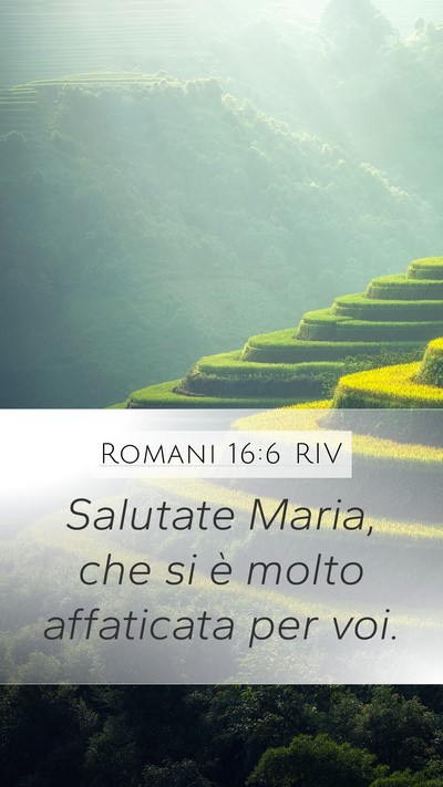 Romani 16:6 RIV Mobile Phone Wallpaper - Salutate Maria, che si è molto affaticata per - Mobile Bible Verse Wallpaper
