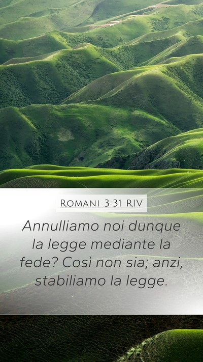 Romani 3:31 RIV Bible Verse Image