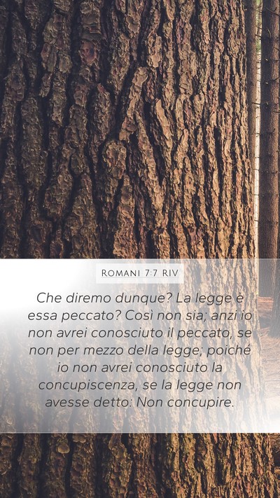 Romani 7:7 RIV Bible Verse Image