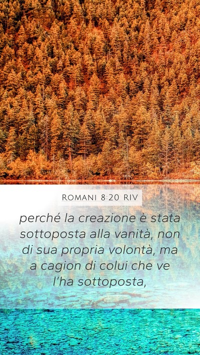 Romani 8:20 RIV Bible Verse Image