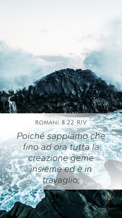 Romani 8:22 RIV Bible Verse Image