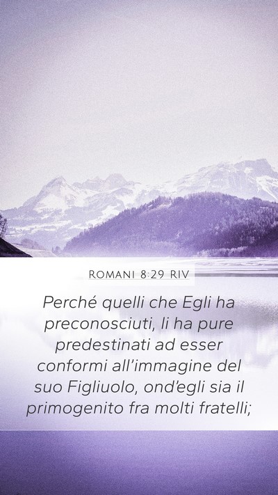 Romani 8:29 RIV Bible Verse Image