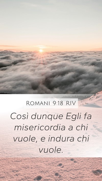 Romani 9:18 RIV Bible Verse Image