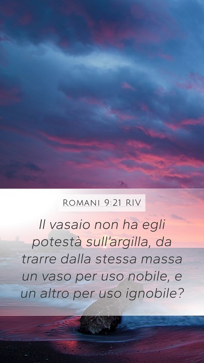Romani 9:21 RIV Bible Verse Image