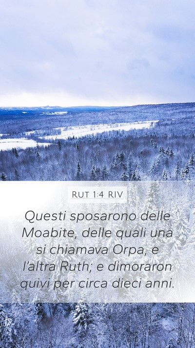 Rut 1:4 RIV Bible Verse Image
