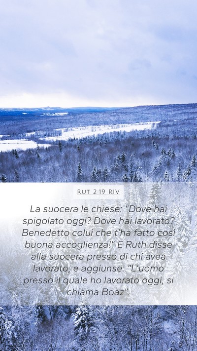 Rut 2:19 RIV Mobile Phone Wallpaper - La suocera le chiese: “Dove hai spigolato oggi? - Mobile Bible Verse Wallpaper