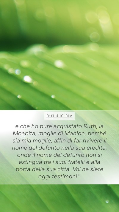 Rut 4:10 RIV Bible Verse Image