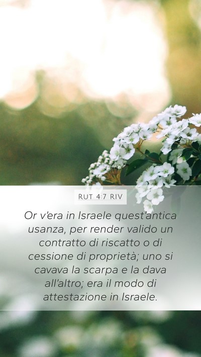 Rut 4:7 RIV Bible Verse Image