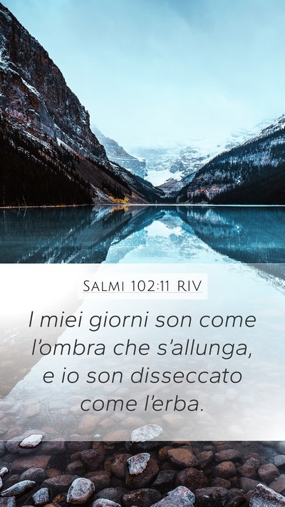 Salmi 102:11 RIV Bible Verse Image