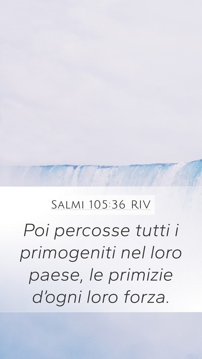 Salmi 105:36 RIV Bible Verse Image