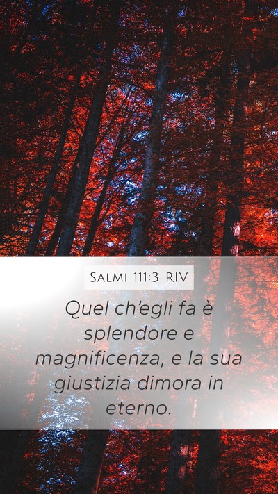 Salmi 111:3 RIV Bible Verse Image
