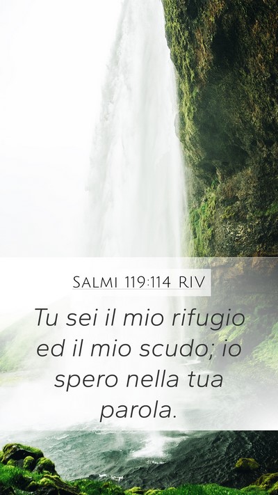 Salmi 119:114 RIV Bible Verse Image