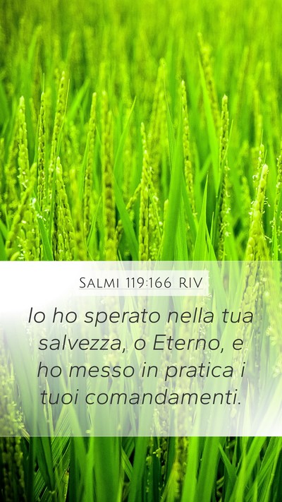 Salmi 119:166 RIV Bible Verse Image