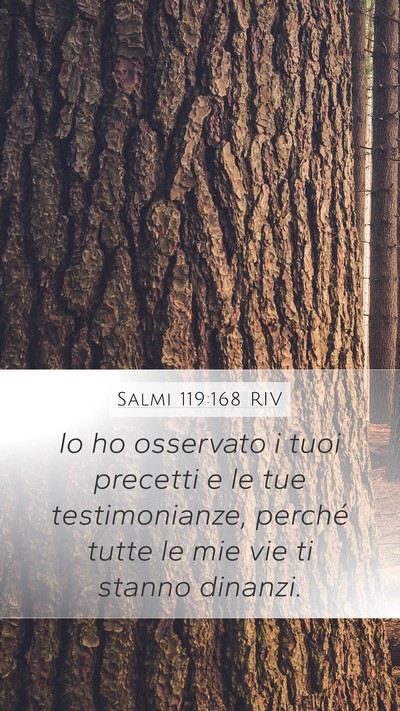 Salmi 119:168 RIV Mobile Phone Wallpaper - Io ho osservato i tuoi precetti e le tue - Mobile Bible Verse Wallpaper