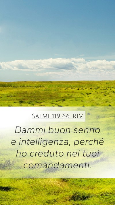 Salmi 119:66 RIV Mobile Phone Wallpaper - Dammi buon senno e intelligenza, perché ho - Mobile Bible Verse Wallpaper
