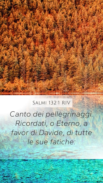 Salmi 132:1 RIV Mobile Phone Wallpaper - Canto dei pellegrinaggi. Ricordati, o Eterno, a - Mobile Bible Verse Wallpaper